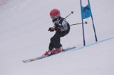 IMG_7347