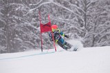 IMG_7352