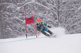 IMG_7353