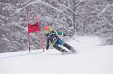IMG_7355