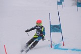 IMG_7357