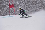 IMG_7371