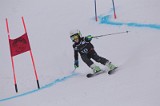 IMG_7375