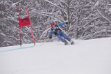 IMG_7381