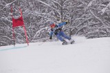 IMG_7382