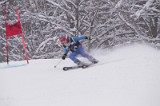 IMG_7384