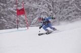 IMG_7385