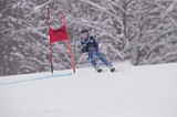 IMG_7398