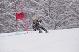 IMG_7415