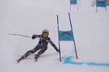 IMG_7419
