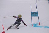 IMG_7420