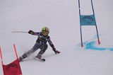 IMG_7421