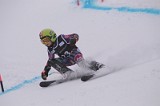 IMG_7423
