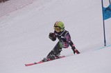 IMG_7427