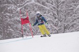 IMG_7431