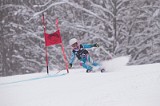 IMG_7445