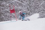 IMG_7446
