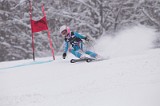 IMG_7448