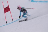 IMG_7455