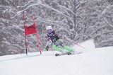 IMG_7474