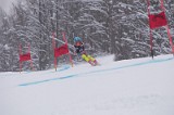 IMG_7487