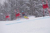 IMG_7488