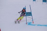 IMG_7491
