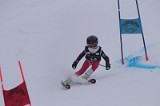IMG_7507