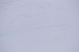 IMG_7512