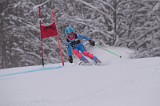 IMG_7517