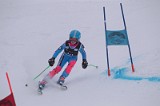 IMG_7521