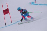 IMG_7523