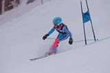 IMG_7525