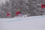 IMG_7526