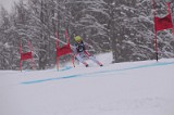 IMG_7527