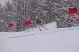 IMG_7528