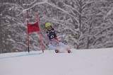 IMG_7530