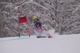 IMG_7531