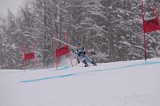 IMG_7541
