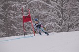 IMG_7542