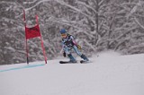 IMG_7545