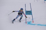 IMG_7547
