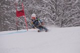 IMG_7555