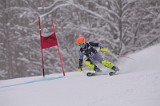 IMG_7569
