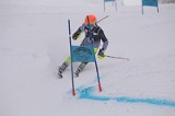 IMG_7570