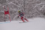 IMG_7582