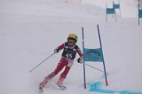 IMG_7585
