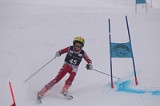 IMG_7586