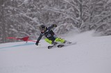 IMG_7599