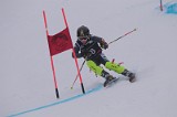 IMG_7604